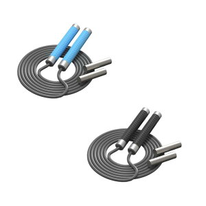 Xs[hWv[v Xs[h[v KȃObv 2̃EFCgubNt z[W p[\ig[jO Xs[hWv[v