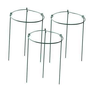 SOP[W Ax 3Zbg ~`AgX ړI ؃NC~Op