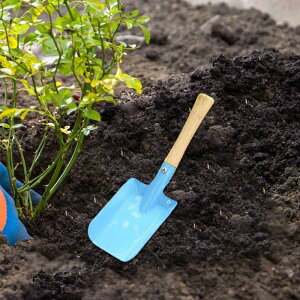 ̃Vx.@邽߂̊~߃nhVx._