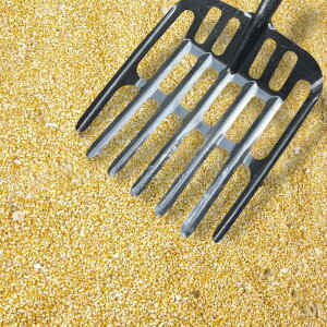 X`[rVxc[.np̍ėp\ȃ|[^uӂ邢Vxwbhӂ邢