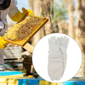 {Ip {IƗp 1g ̕ی {Ip jp