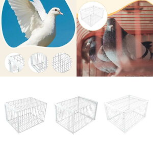 自動トラップケージ 頑丈 組み立て簡単 片側入口 自動鳩収集器 養鶏場向けトラップ