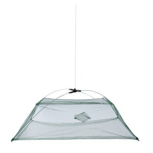 2x ނ蓹܂肽ݎԂɒނ.60 X 60cmPނ