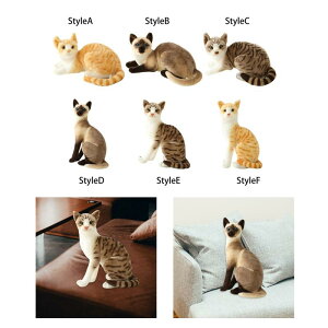 L̂ʂ { K ̎q j̎q q NX}X Mtg