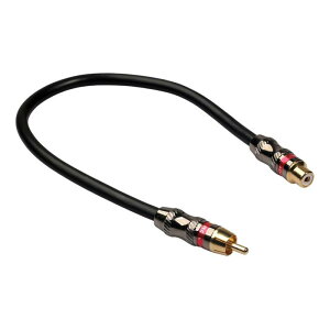 0.3 M (1 tB[g) RCA IXvO X I[fBIP[u