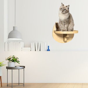 qLpNC~OVFt p[` ؐLpƋ ǂɎtꂽLpVFt Lp NC~Oybgpi , lR