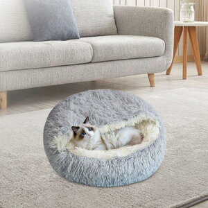 t[htJo[tLpxbh pxbh gSn Kȃybgpxbh ybgpi q  Lp ʂ