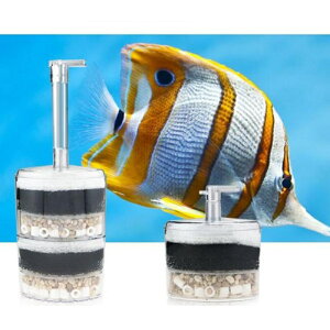 |vC쓮oCItB^[X|Wx^im^NK{ , 2w