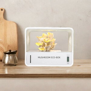 }bV[ɐBeg.r[.A͗p̃}bV[t[c`o[