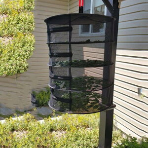 lbg hoO  ܂肽ݎ nMObN Wbp[t S3F2