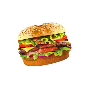 no[K[RX`[[vCOʔNGCeBunEBRXvp[eB[t[h