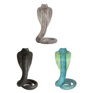 ւ̑ ւ̒  j[Nȓ̃tBMA rO[  Op