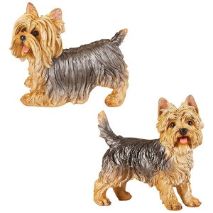 ̑ ̒ Wl̂郂_ȃfXNgbv̑i փfXNLrlbgpu z[fR[V