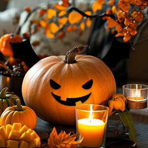 nEBڂfR[V DIYNtg RE ȒPɐݒułNGCeBu