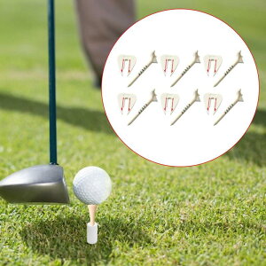 ߉\ȃSteB[6.Stpi.|[^uSt{[z_[