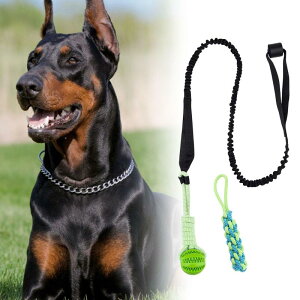 ̃[v̂.ނ߂̃pY{[.ނ.Ȍ̗Vт̂߂̎̑|̂߂̎郍[v.V