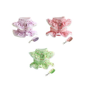 ԕpn[lXhX [Vt phX ybg ̎qpq ybgpLpn[lX ^ybgp ybgpi q