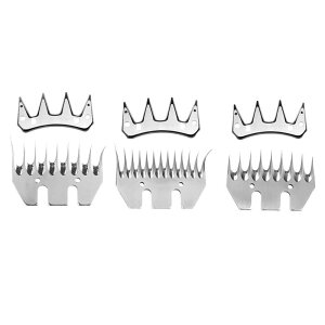 r݂̂͂̐nƒ{͂̂߂̓dC[i܂