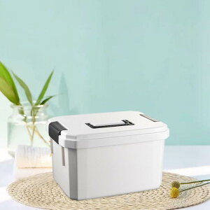 |[^uÃReie[uI[KiCU[ړIyʊWtG݃Rei~}DROMItBXp