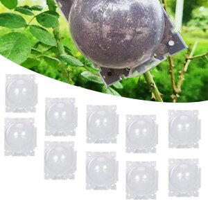 10 A琬{bNX Rg[[ pI ږ؃c[ peBIp