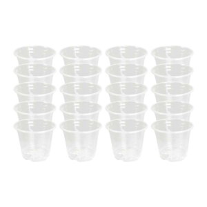 20 Zbg ۈ牀AReic|bgړIyʐAؔ_Ɖp