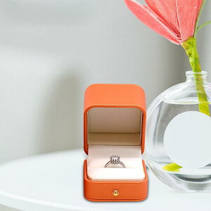 U[O{bNXP[Xwփ{bNXԉł̌̍p