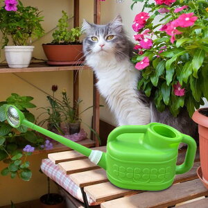 10L 傤 OXpEg EH[^[ ƒp K[f   Op