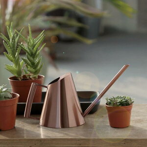 ItBXfXN̐ẢԂ̂߂̃gȃXeX|̂傤₩