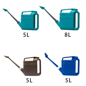 Ap傤 UPg  |c[  傤 Ő  ϗtA _p