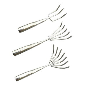 XeX|nh[L،FK[fjOc[lԍHwɊÂnhyk@̌F|ptE