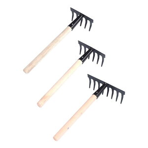 K[f[LV[EH[^[[LLXg̍̎̂ӂ邢ێ̂͗̃r[`{TCڐA