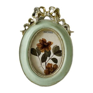 xbh[ł̃e[ugbvƕǂ̃fBXvCp̑ȉ~`̃tHgt[