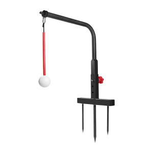 StXCOO[o[ DƂ̂߂̑Ōg[jO⏕ O