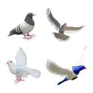 シミュレーション鳩像鳩彫刻アートリアルなクラフト装飾動物の置物庭の彫像バルコニーパティオ屋外用