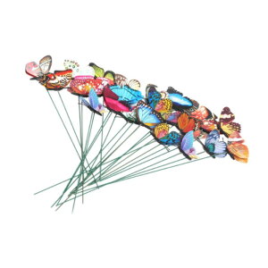 50 钱̃K[fXe[N h peBI  Őp