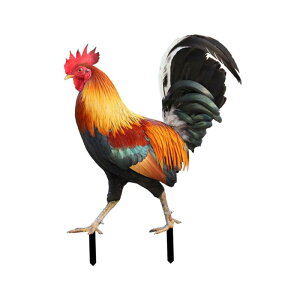 Y{̑ K[fXe[N   { A[g Y{̒u nʂɑ} OpeBI Őp