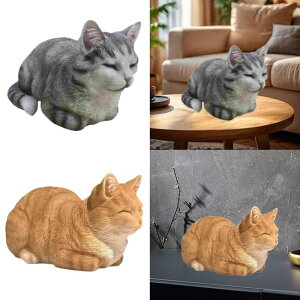LeB̒u ĂL̑ Aȃ_ŃRpNgȎ L̒ Ő̒Ȋ Mtg