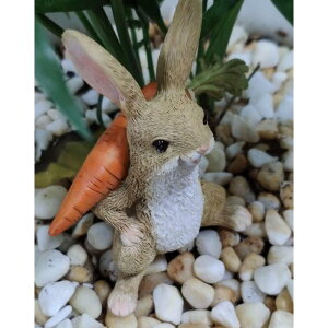 ~jTCY̑fGȎ̃ETM̑̃z[&K[ffXN̑8.5cm