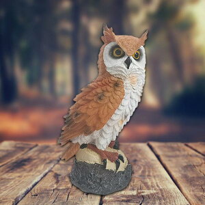 ỉƂ̉Ƃ̂߂̎̃tNȆ̒̑̃tNEF