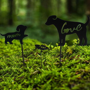 pXe[N K[ffR[V [hA[g I[ig p[eB[pi ʔO Ő  pTC