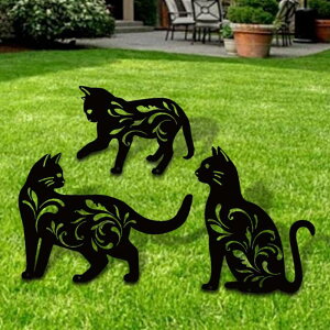 LpK[fXe[NX pXe[NX ό󐫎ŐI[ig nEB  Op 3