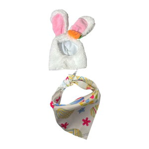 R[ĝ߂ɖXqƂ悾ꂩ2{K`Ëߑ