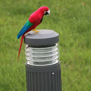 vX`bNIEK[fX^`[eBuXeB[fBXvC