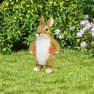 ETM̒̒RNV._Ƃ̎Ő̒̉O