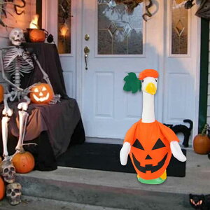 nEB|[`O[XߑnEBfR[V킢K[fO[X