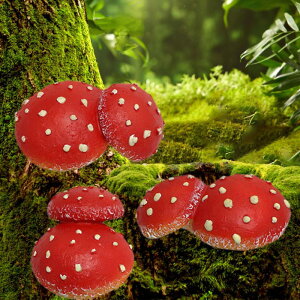 ~j`ALmR.3.݂艺u.AȖ.Ȏ.Ntg.V~[V`