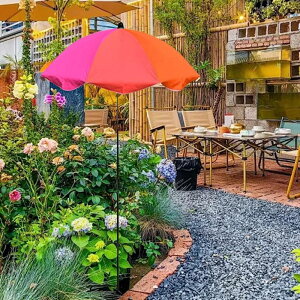 OpApP K[fAu Ő A peBIpVF[h