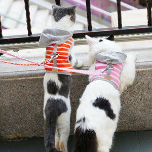 ybg Lp &[hZbg [v ybg Up S2F S2TCY