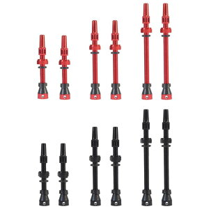 2s[X vX^ouXe A~ y ֗Ȍp ȃ`[uXoCNou TCNOp[c