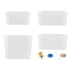 fXNgbv  ʋCEt  fXNgbvfXN ItBXp